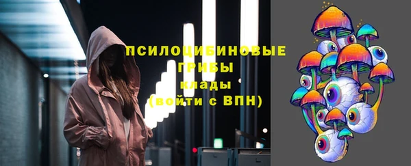 прущие грибы Михайловка