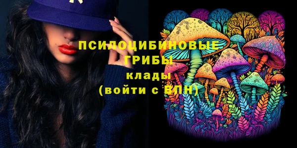 соль ск Михайлов