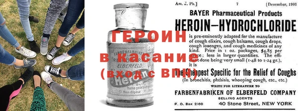 прущие грибы Михайловка