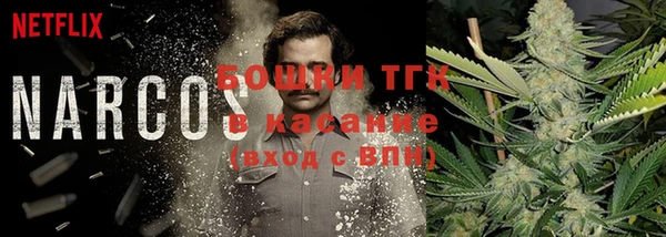 прущие крисы Михайловск