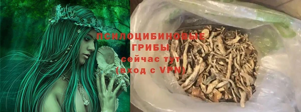 соль ск Михайлов