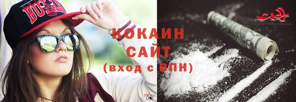 соль ск Михайлов