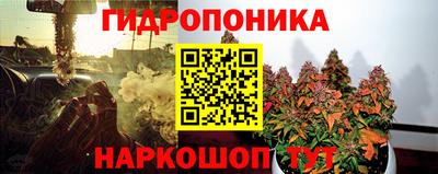 apvp Заволжье