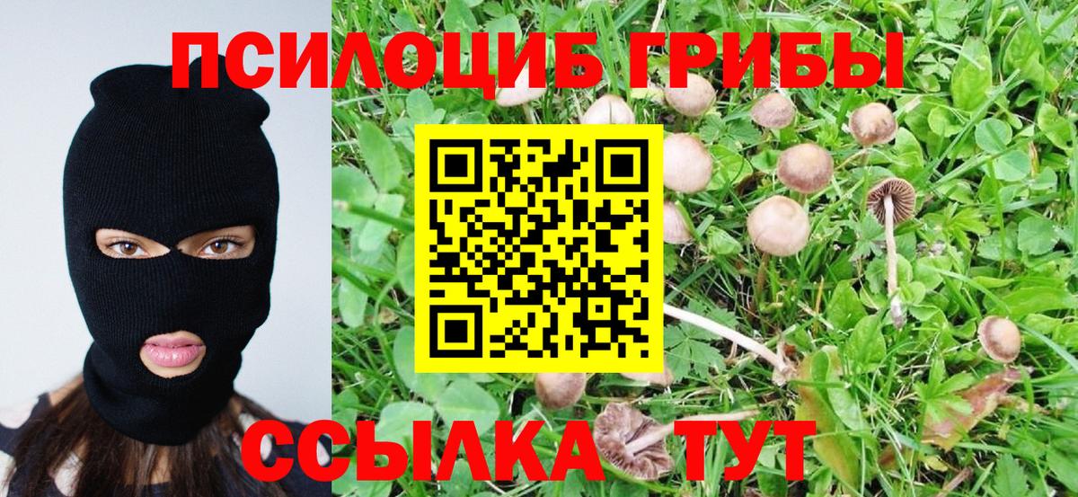 Галлюциногенные грибы Cubensis Новоуральск