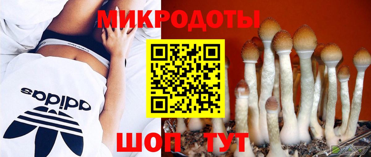 магазин  наркотиков  Новоуральск  Галлюциногенные грибы мухоморы  Галлюциногенные грибы мухоморы 
